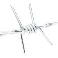 Prikkeldraad Zilver 50 m Warmgedipte Gegalvaniseerde Staal 6