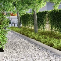 Tuinrand Zilver 450 x 0.05 x 15 cm Roestvrij staal 4