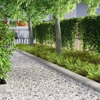 Tuinrand Zilver 450 x 0.05 x 15 cm Gegalvaniseerd staal 4