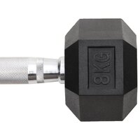 Halters 2 st 16 kg totaal gietijzer 7