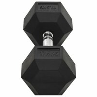 Halters 17,5 kg gietijzer 4