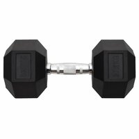 Halters 27,5 kg gietijzer 3