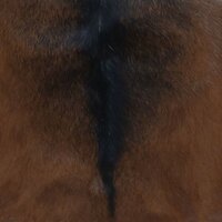 Kruk inklapbaar geitenleer en massief teakhout 6