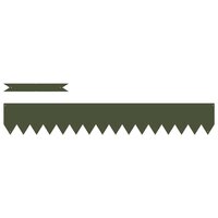 Tuinrand 10 pcs Olijf Groen 100 x 0.05 x 20 cm 2