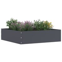 Tuinrand Antraciet 50 x 50 x 13 cm Staal 2
