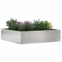 Tuinrand Zilver 50 x 50 x 13 cm Roestvrij staal 2