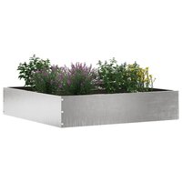 Tuinrand Zilver 60 x 60 x 13 cm Roestvrij staal 3