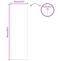 Wandspiegel Rechthoekig 30 x 100 cm gehard glas 8