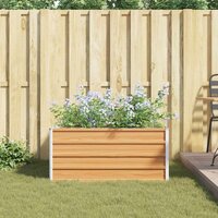 Verhoogde plantenbak Licht Bruin 100 x 100 x 45 cm 4