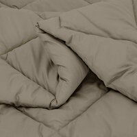 Winter Dekbed Lichtgrijs 200 x 135 cm Microfiber 5