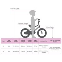 Mountainbike 20 Inch 6-Speed voor 5-8 jaar oud Zwart 9