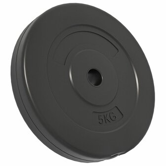Halterschijven 4 st 30 kg beton