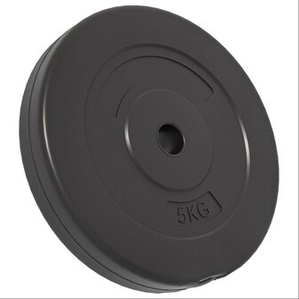 Halterschijven 6 st 30 kg cement