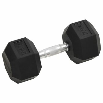 Halters 17,5 kg gietijzer