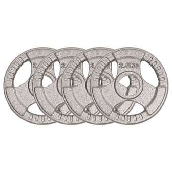 Halterschijven 4 st 10 kg gietijzer