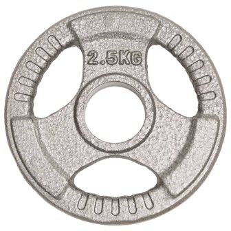 Halterschijven 4 st 10 kg gietijzer