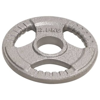 Halterschijven 4 st 10 kg gietijzer