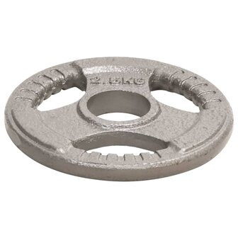 Halterschijven 4 st 10 kg gietijzer