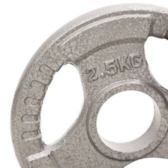 Halterschijven 4 st 10 kg gietijzer