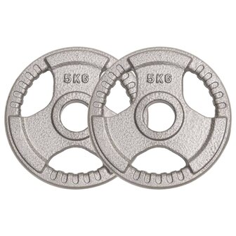 Halterschijven 2 st 10 kg gietijzer