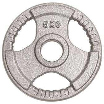 Halterschijven 2 st 10 kg gietijzer