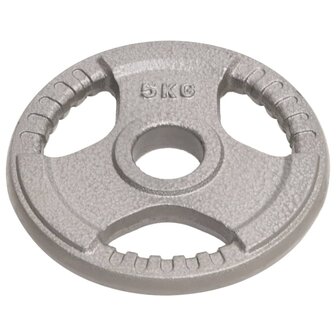Halterschijven 2 st 10 kg gietijzer