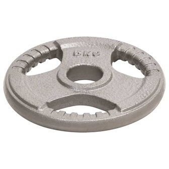 Halterschijven 2 st 10 kg gietijzer
