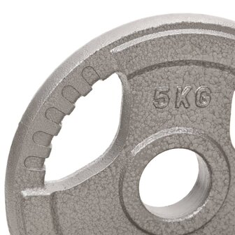 Halterschijven 2 st 10 kg gietijzer