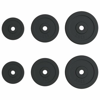 Halterschijven 6 st 30 kg gietijzer