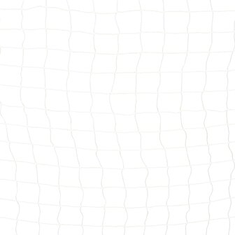 Voetbaldoel 300x160x90 cm metaal zwart en wit
