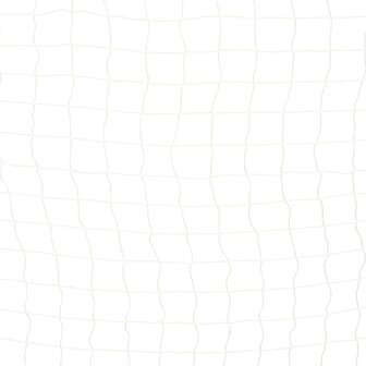 Voetbaldoel 300x200x90 cm metaal zwart en wit