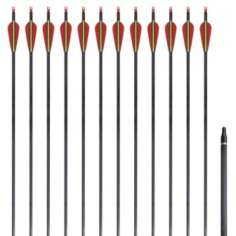 Pijlen voor recurveboog standaard 30&quot; 0,76 cm koolstof 12 stuks