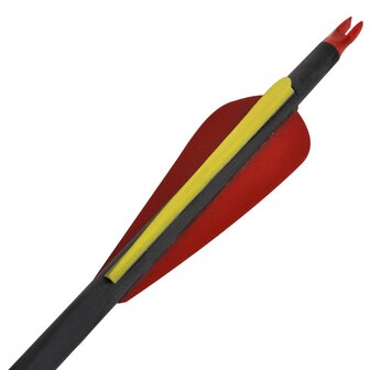 Pijlen voor recurveboog standaard 30&quot; 0,76 cm koolstof 12 stuks