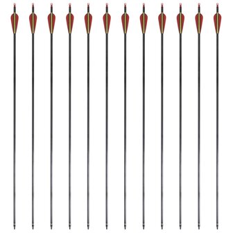Pijlen voor recurveboog standaard 30&quot; 0,76 cm koolstof 12 stuks
