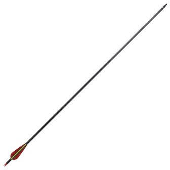 Pijlen voor recurveboog standaard 30&quot; 0,76 cm koolstof 12 stuks