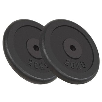 Halterschijven 2 st 2x20 kg gietijzer