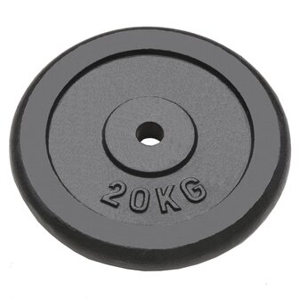Halterschijven 2 st 2x20 kg gietijzer
