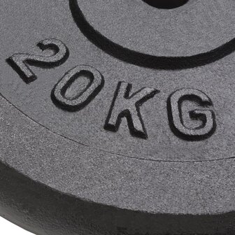 Halterschijven 2 st 2x20 kg gietijzer