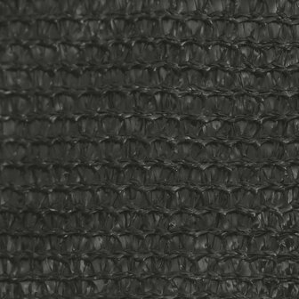Zonnezeil 160 g/m&sup2; 3/4x2 m HDPE antracietkleurig 8720286096666 3