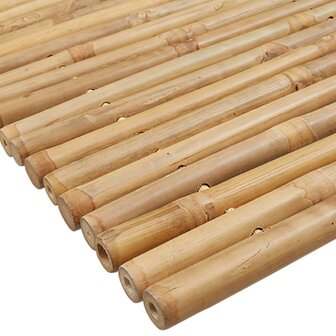 Badmatten 2 st 70x50 cm bamboe 8721102381577 10