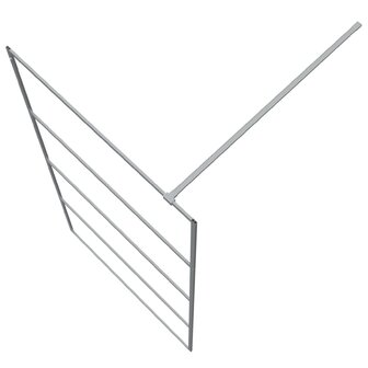 Inloopdouchewand 100x195 cm transparant ESG-glas zilverkleurig 8720287052340 5