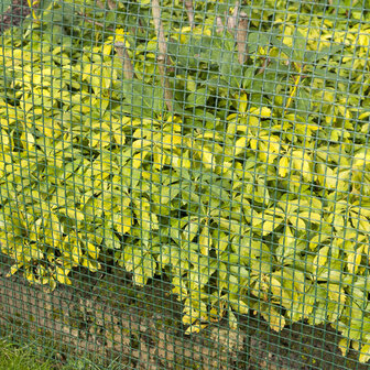Nature Tuinscherm vierkant gaas 5x5 mm 1x3 m groen 8711338502037 3