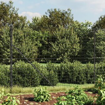 Draadgaashek met flens 2,2x10 m antracietkleurig 8720845780524 1