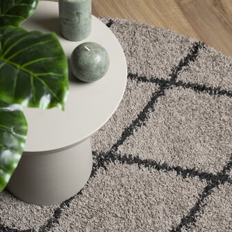 Vloerkleed PAMPLONA shaggy hoogpolig &Oslash; 80 cm beige antraciet 8721012229983 7