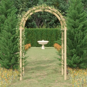 Boog 141x97x243 cm ge&iuml;mpregneerd massief grenenhout 8720286878736 1