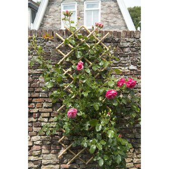 Nature Latwerk voor tuin 100x200 cm bamboe 6040722 8711338407226 3