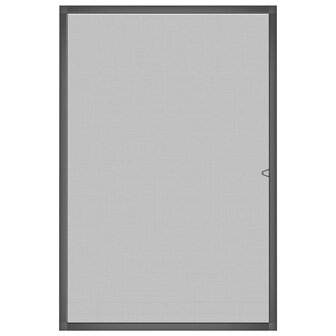 Raamhor 80x120 cm antracietkleurig 3