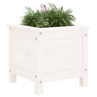 Plantenbak 40x40x39 cm massief grenenhout wit 3