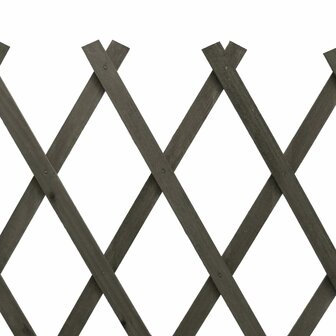 Tuinlatwerk 120x60 cm massief vurenhout grijs 6