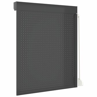Rolluik 120x150 cm aluminium antracietkleurig 5